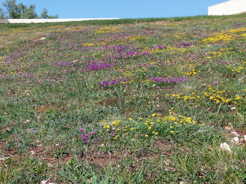 Der Park Histria Aromatica bei Bale 2