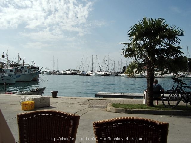 Vrsar-Hafen blick