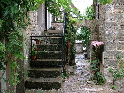 GROZNJAN > Gasse - Idylle