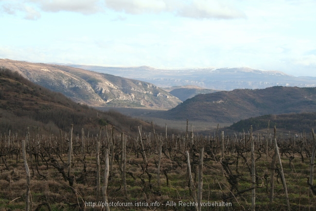 MOTOVUN > Blick ins Mirnatal