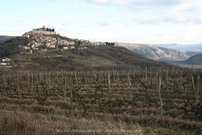 Motovun im Winter