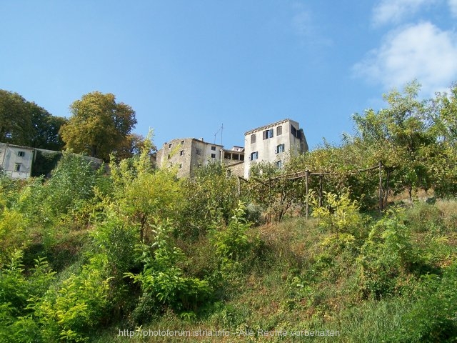 Motovun Blick hinauf in die Stadt