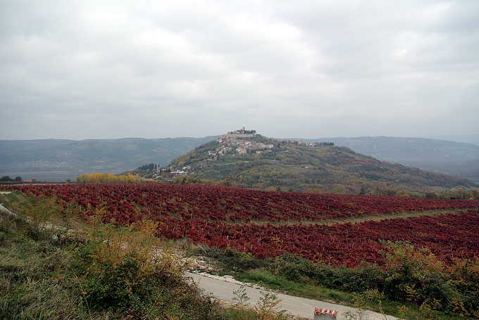 Motovun Nov. 2011