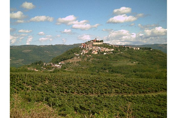 Motovun 2007