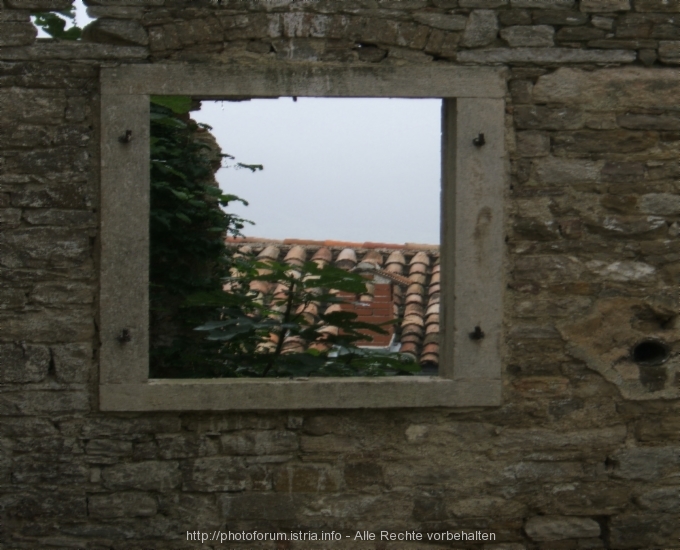 MOTOVUN > Ende Oktober 2005