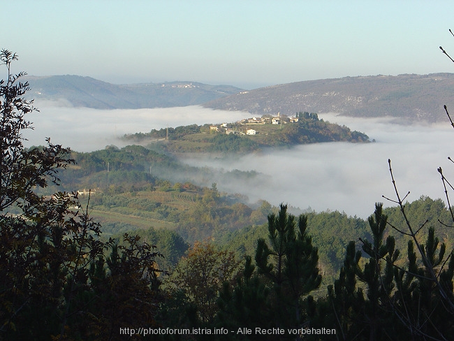 2006-01 < 1. Platz - Herbstimpressionen > PHILIS > SOVINJAK > Insel im Nebel