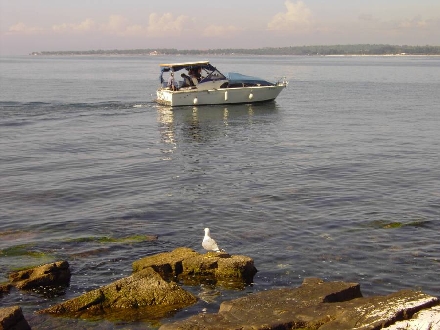 2004-05 < 1. Platz - Naturschönheiten > BURKI > Seemöve und Boot