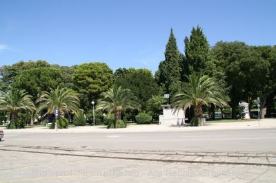 PULA > Palmenpromenade am Hafen von Pula