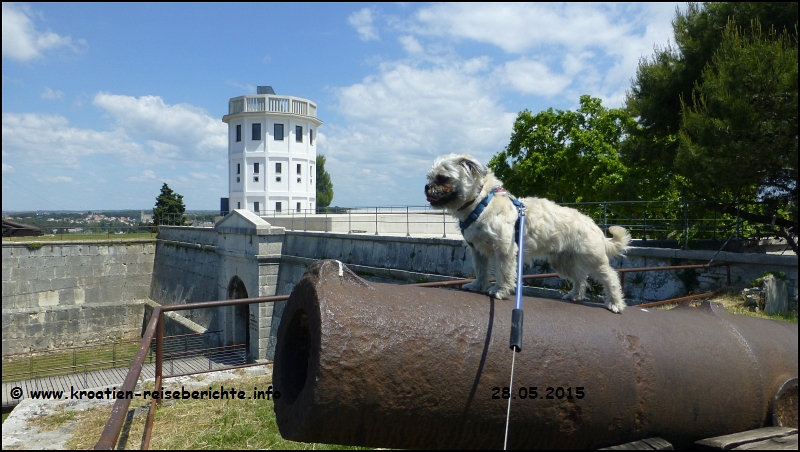 Stella in Pula