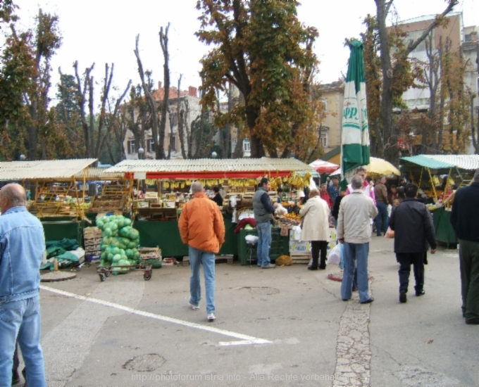 PULA > Herbstimpressionen > 31.10.2005