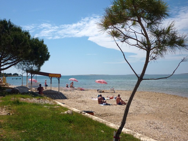 Aktuelles vom Spaziergänger auf der „Insel (Halbinsel) der Seligen“ 6