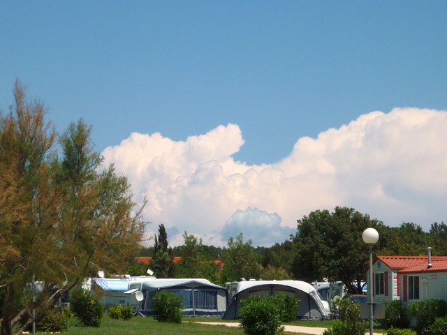 Aktuelles vom Spaziergänger auf der „Insel (Halbinsel) der Seligen“ 4