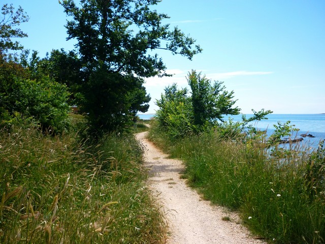 Aktuelles vom Spaziergänger auf der „Insel (Halbinsel) der Seligen“