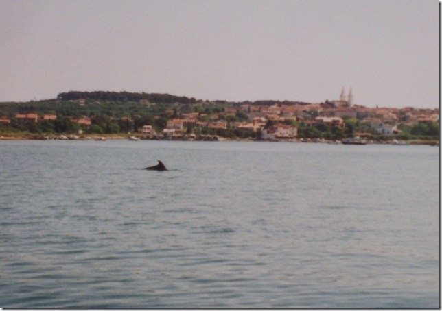 Delfin > Medulin > 1997