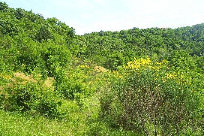 LABIN > Wanderweg nach Rabac