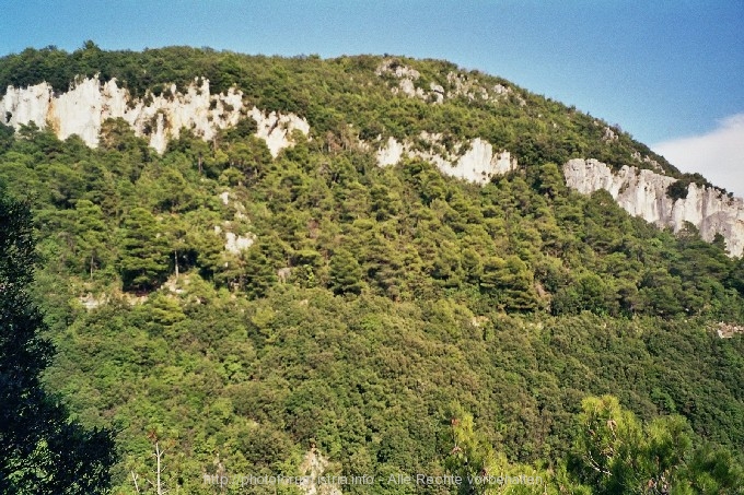 LABIN > Wanderweg nach Rabac > Felsen