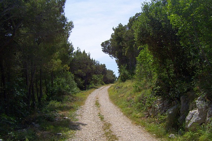 RABAC > Wanderung zum Strand Bounty_12 > Feldweg am Berghang