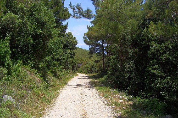 RABAC > Wanderung zum Strand Bounty_13 > Feldweg am Berghang