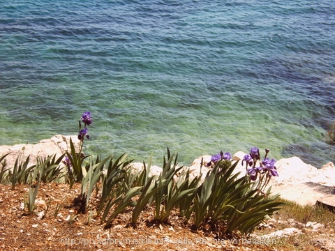 Strandstruktur (Sandstrand?)  Rabac 4