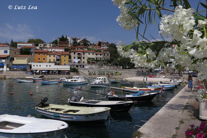 Bucht mit Hafen von Rabac - v. i. Bild ein herrlich blühender Oleander.