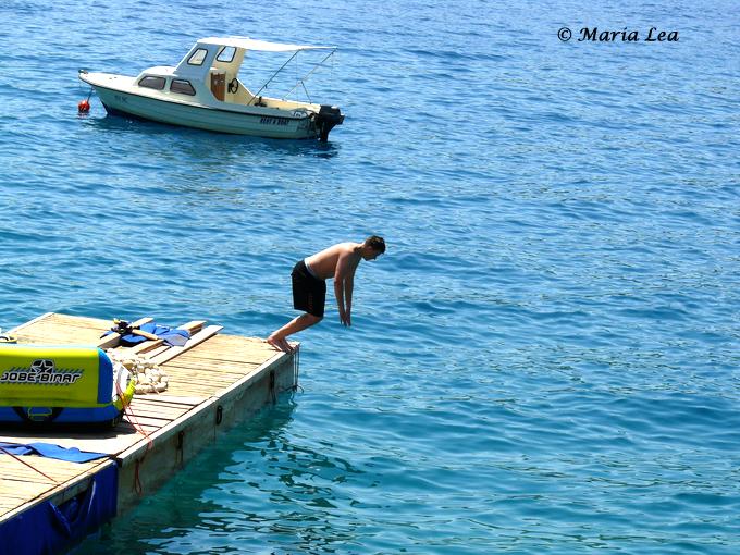 rabac_171_forum.jpg