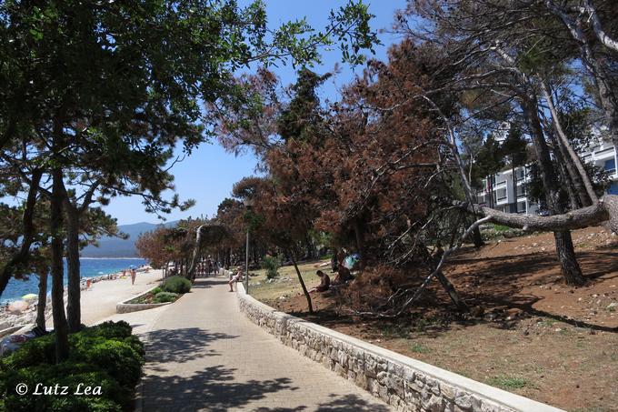 Östliches Teilstück der Promenade in Rabac.