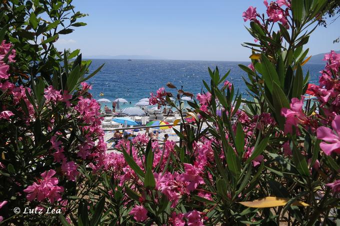 Oleander-Meer-Blick