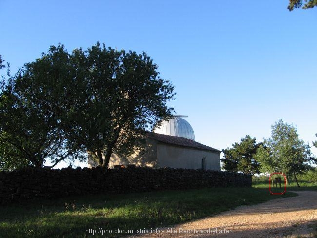 Visnjan > Observatorium