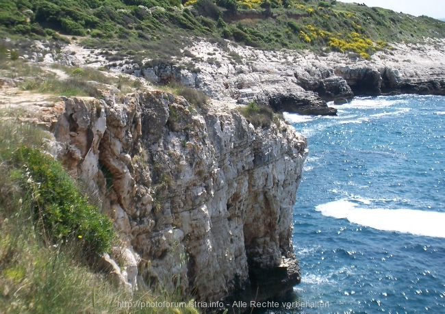 Kamenjak Mai 2008 3