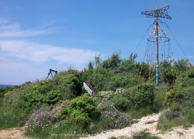 Kamenjak Mai 2008 6