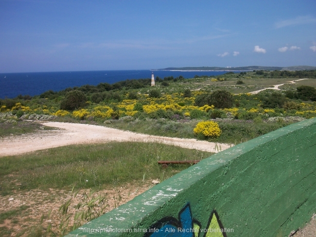 Kamenjak Mai 2008 10