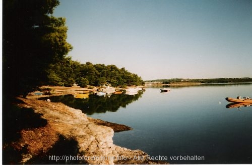 Goldener herbst