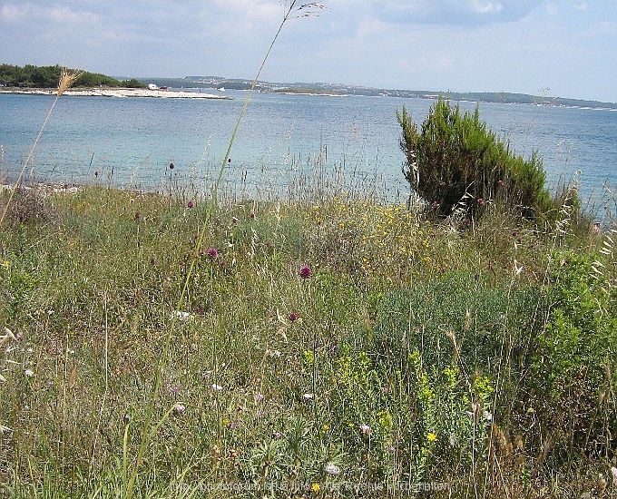 Kamenjak > Impressionen > Tagesausflug