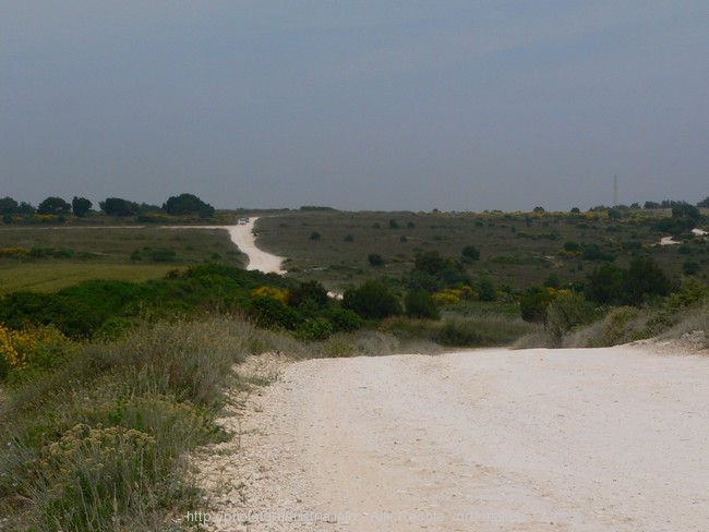 Istrien>Pula und Medulin-Region>Halbinsel Kamenjak