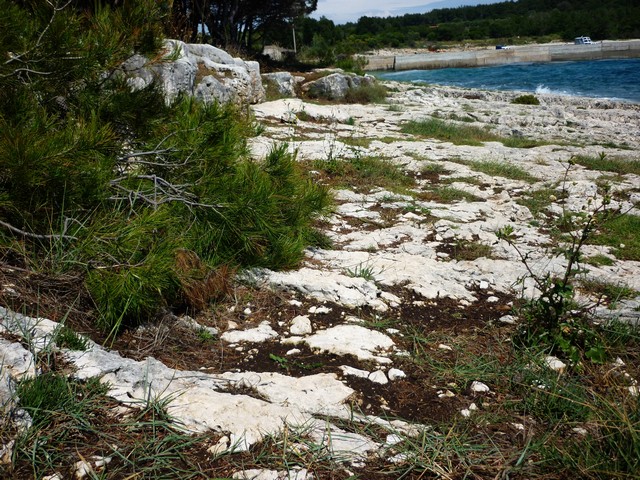 Medulin/Premantura, eine Insel der Seligen 5