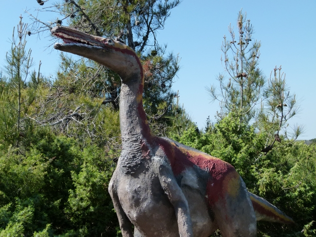 KAMENJAK > Dinosaurierpfad 10