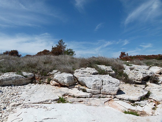 Steingesicht auf Kamenjak 9