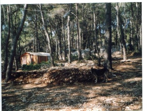 HALBINSEL KAMENJAK > Camp Tasalera