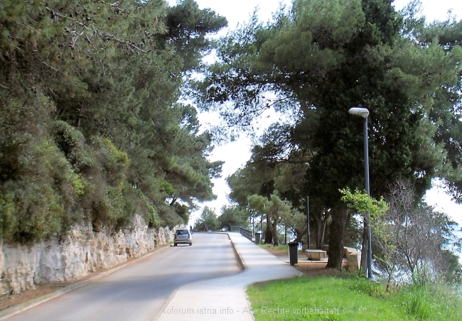 Uferpromenade Lungomare 3