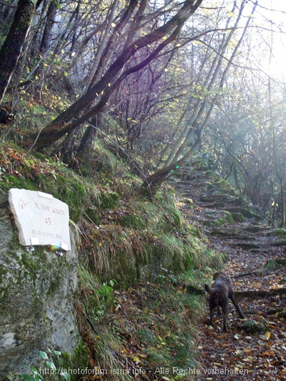 Wanderung auf den Veli Planik 4. Einstieg