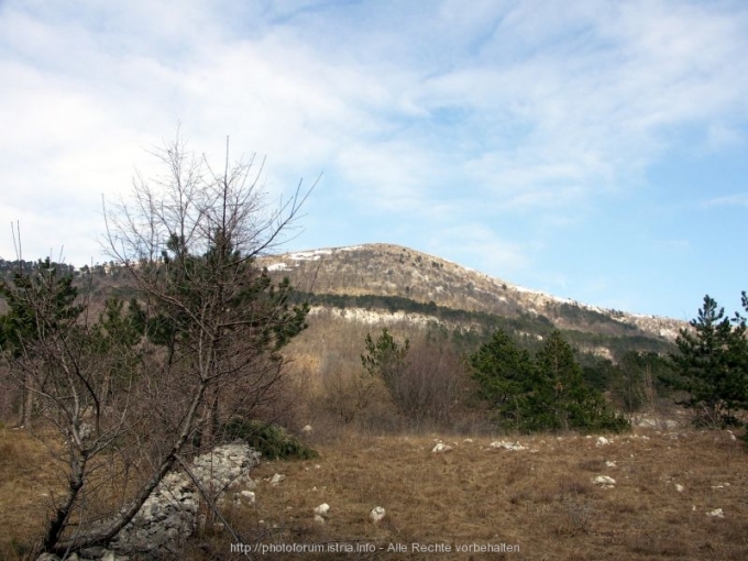 CICARIJA > Gipfel Zbevnica > Blick von Brest