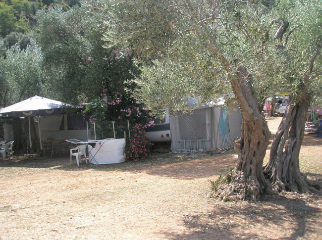 Camping Brajdi 5