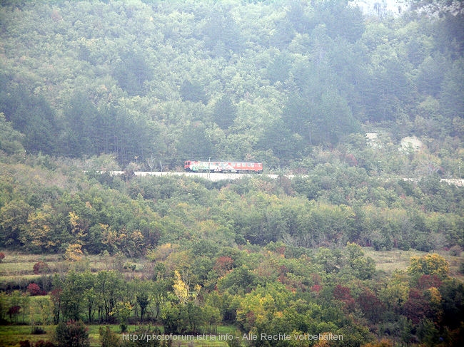 ROC > Blick zur Eisenbahnstrecke > fahrender Zug