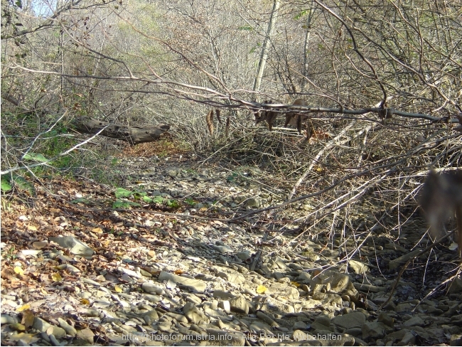 MIRNA bei KOTLI (4 km nördlich) > Flussbett oberhalb von Kotli