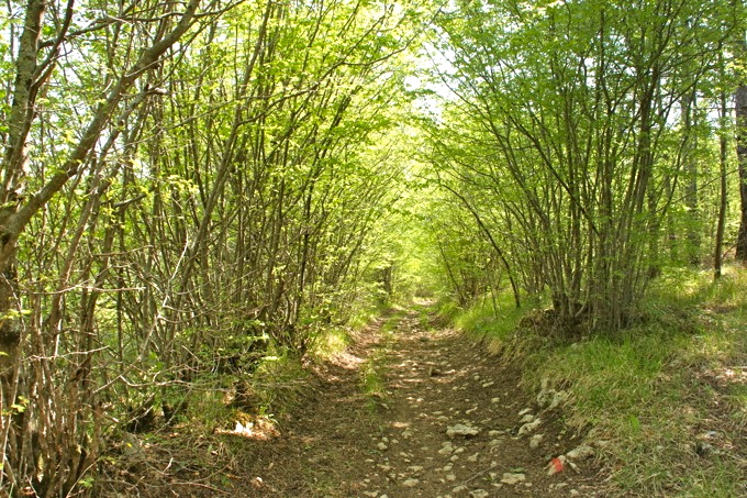 Wanderung Buzet - Kotli 8