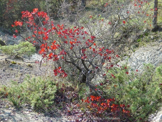 Oberhalb der MIRNA bei Duricici