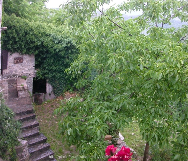 Hum bei Regenwetter