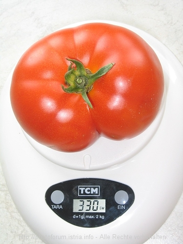 Tomate aus Kroatien
