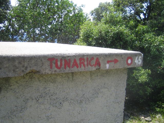 Koromacno Tunarica 2