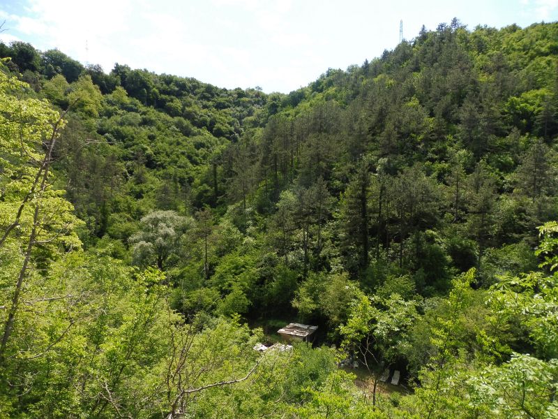 Wanderung_Wasserfall_18.jpg